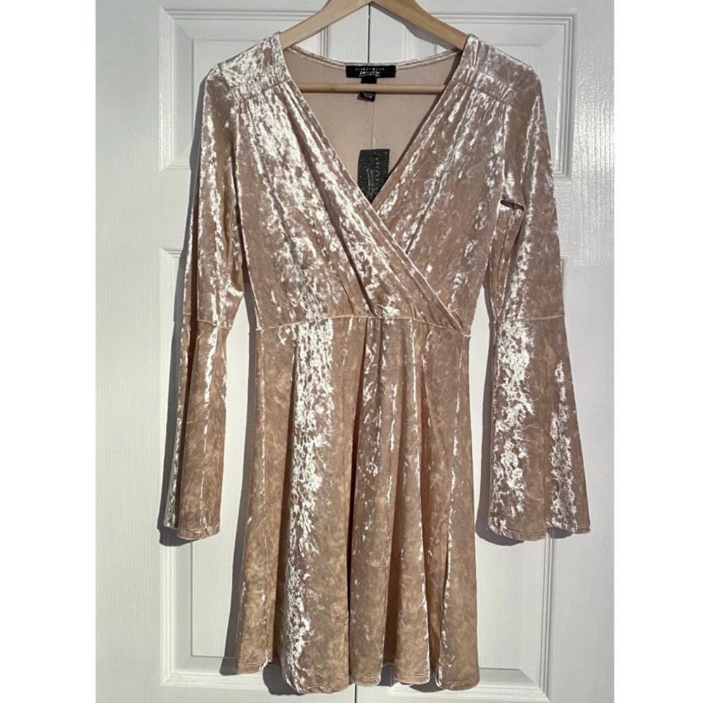 NWT Streetwear Society Crushed Velvet nude dress